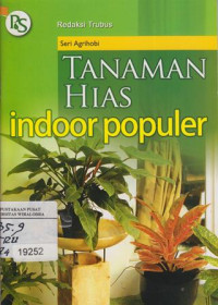 Tanaman Hias Indoor Populer