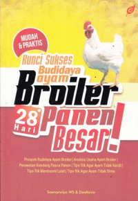 Kunci Sukses Budidaya Ayam Broiler 28 Hari Panen Besar